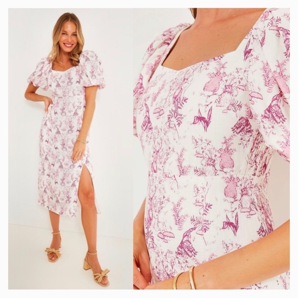 Hyacinth House Dresses & Skirts - Tuckernuck Hyacinth House Dress